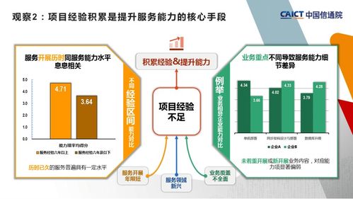 中国信通院第二批大数据服务能力评估观察 数据处理服务的新格局与挑战